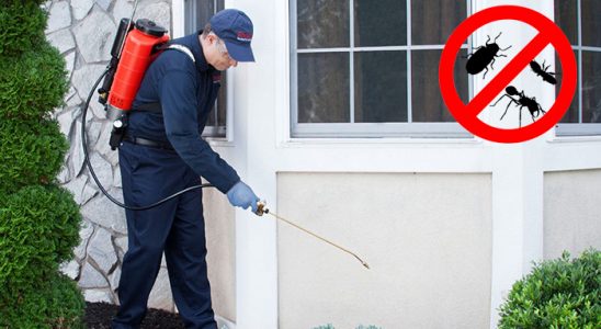 Orhaneli Hamam Böceği İlaçlama böcek ilaçlama ve haşere kontrolü — ilaclama-tr.com